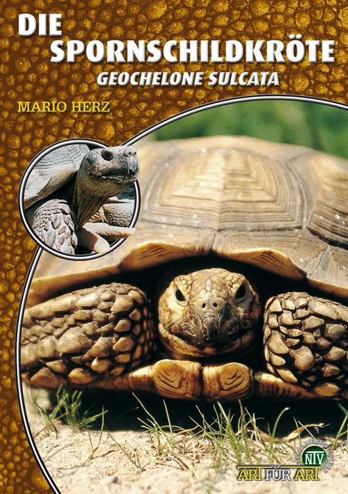 Die Spornschildkröte, Geochelone sulcata