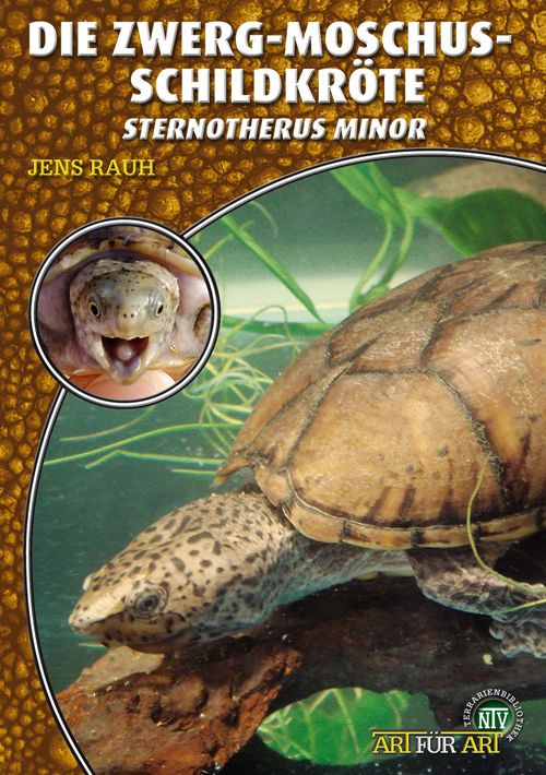 Die Zwerg-Moschusschildkröte, Sternotherus minor