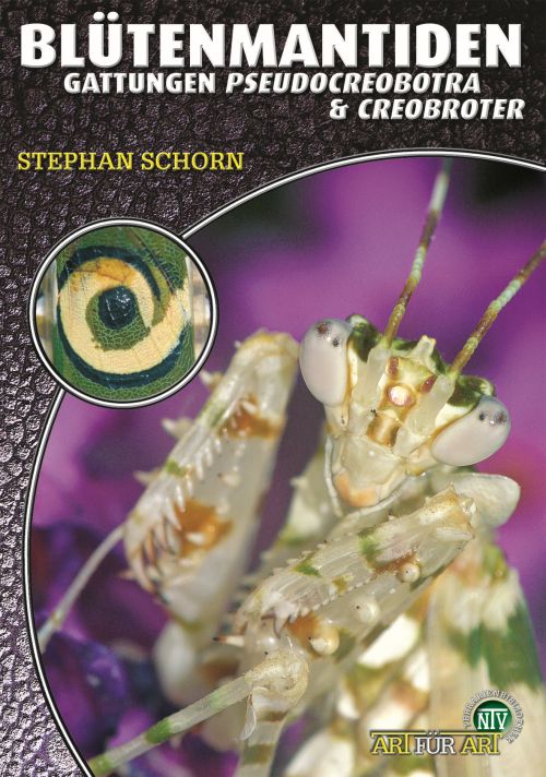 Blütenmantiden, Die Gattungen Pseudocreobotra & Creobroter