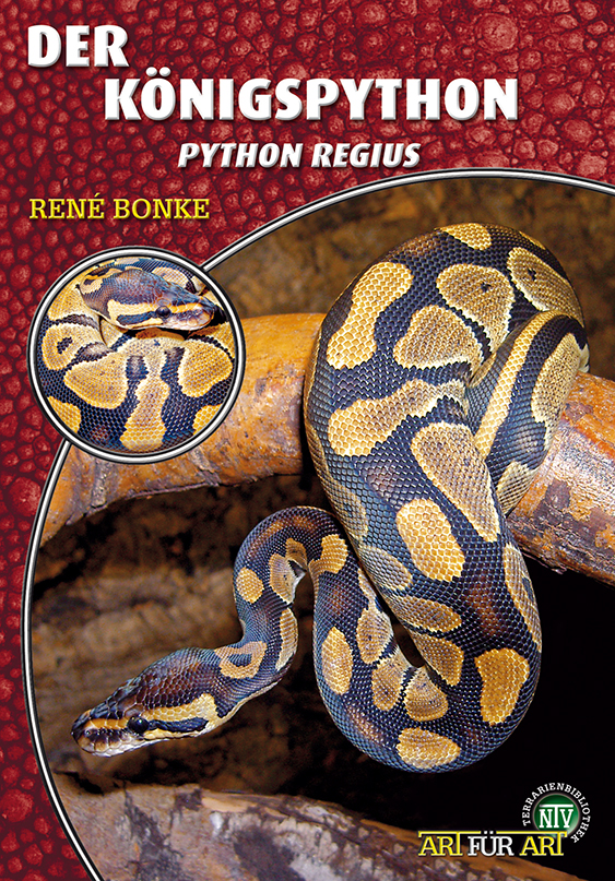 Der Königspython, Python regius